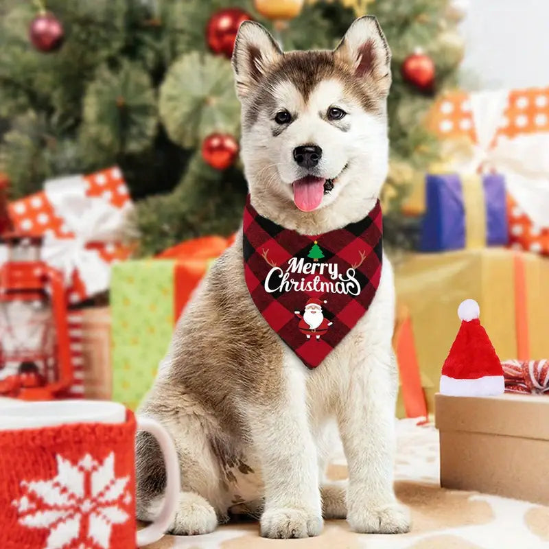 Santa Hat and Bandana