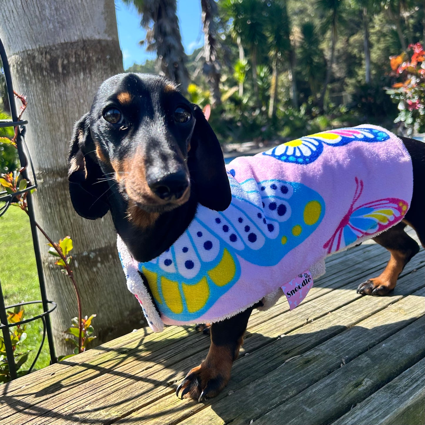 Towelwear Pink Butterfly Dog Coat