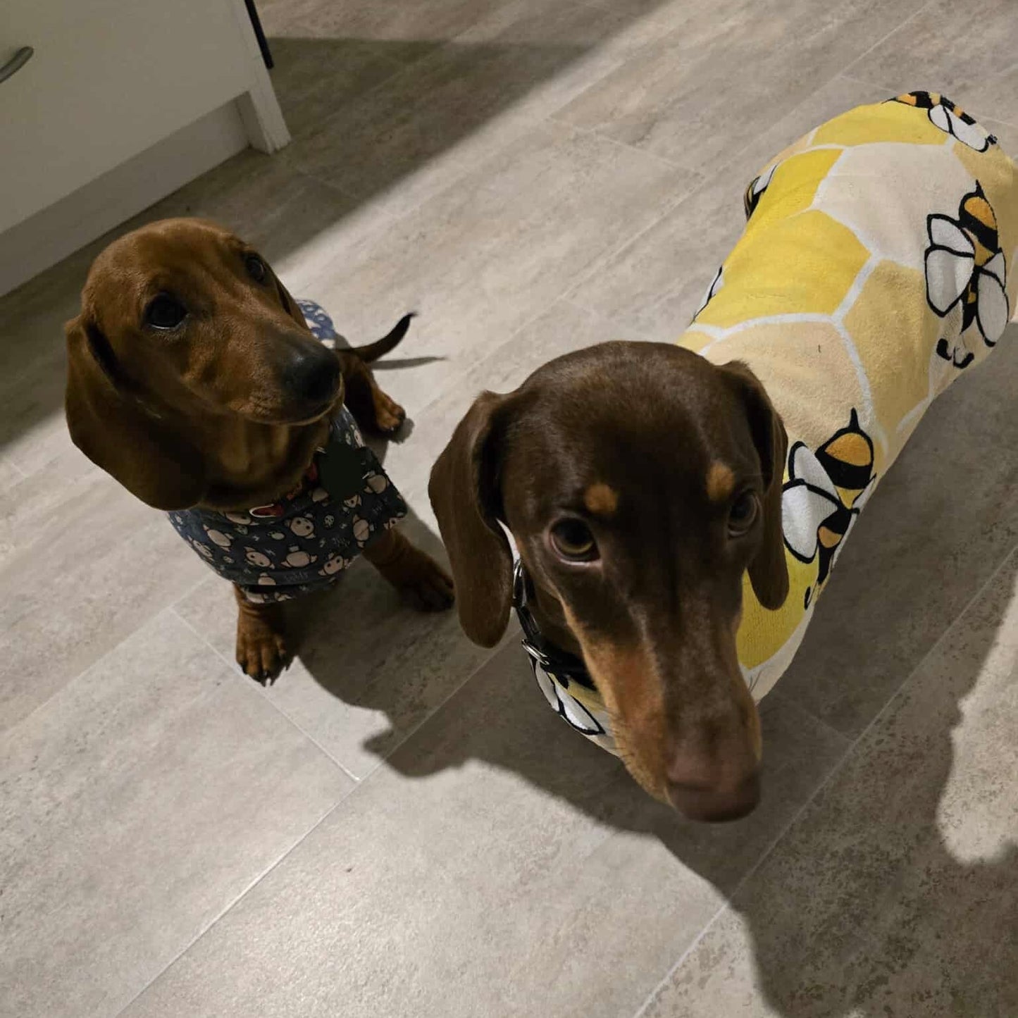 Bee Bundle - Save 25%