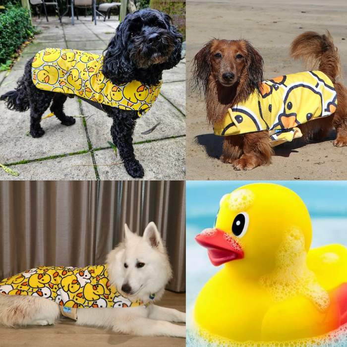 Ducky Bundle - Save 25%