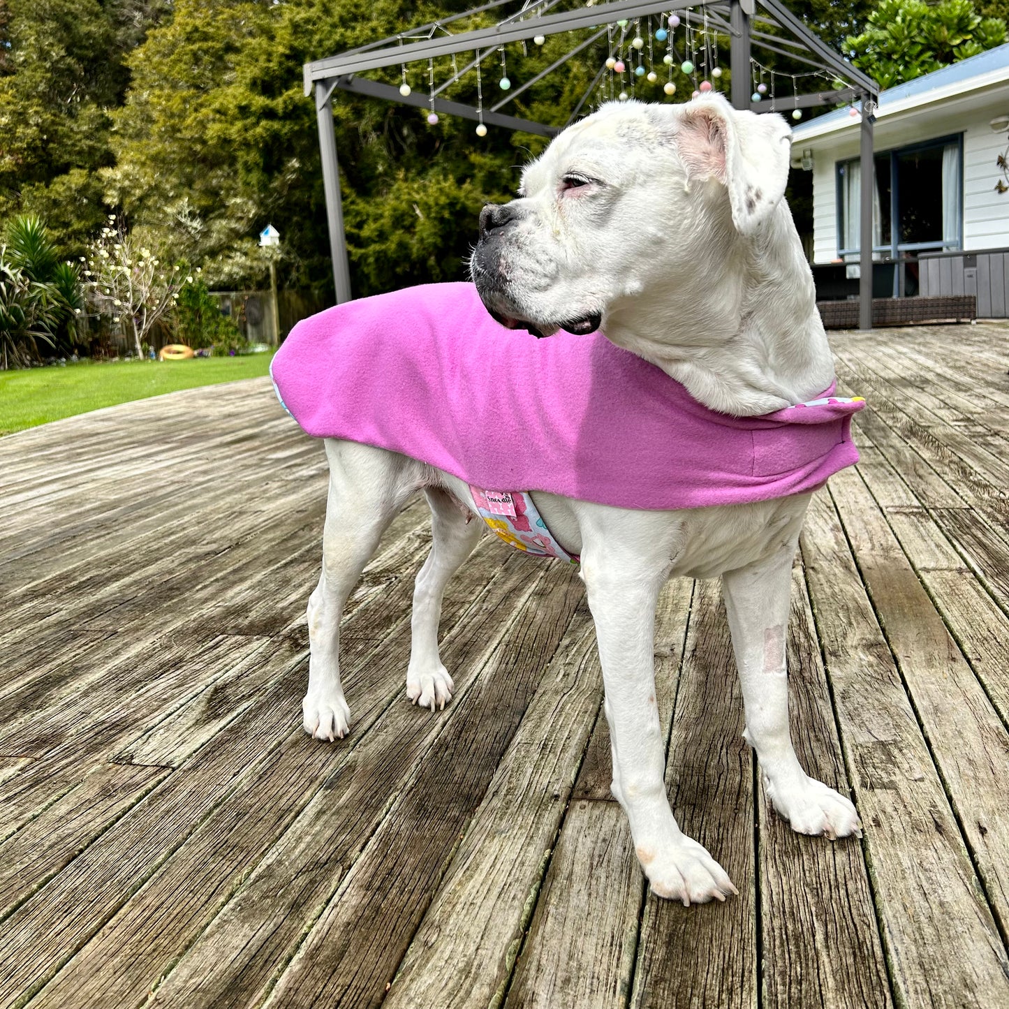 Daywear Care Bear Dog Coat