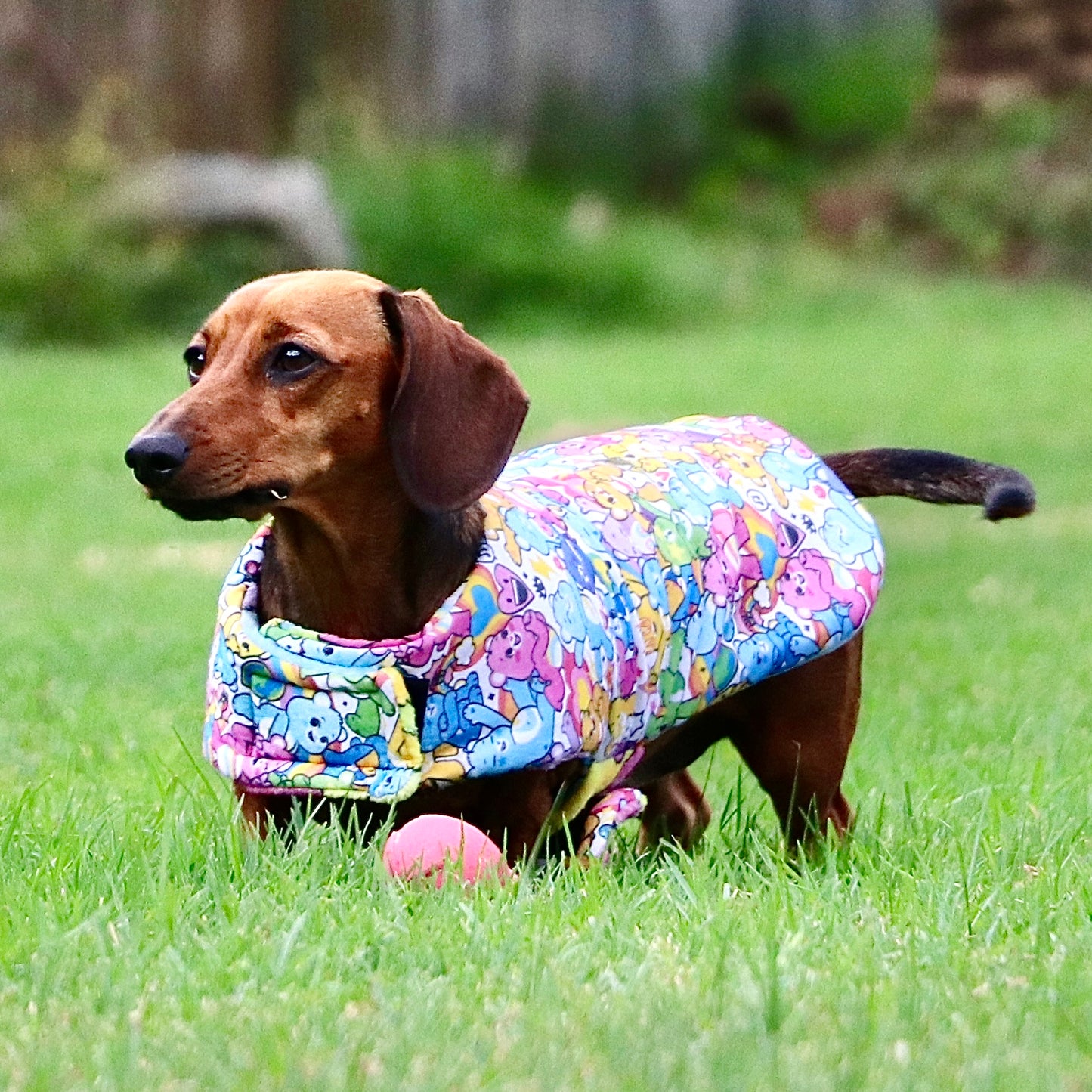 Daywear Deluxe Bear Care