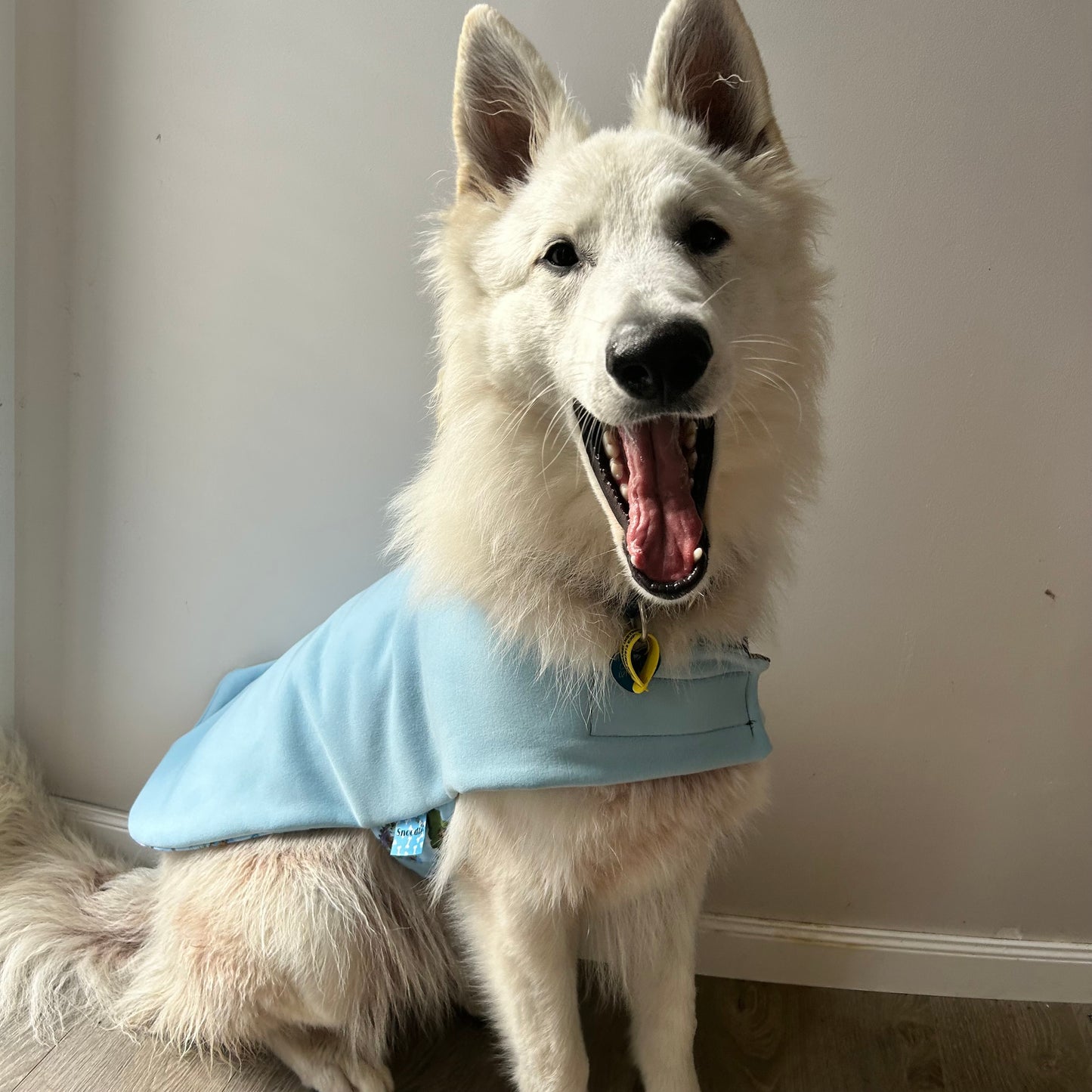 ActiveWear Groooot Dog Coat