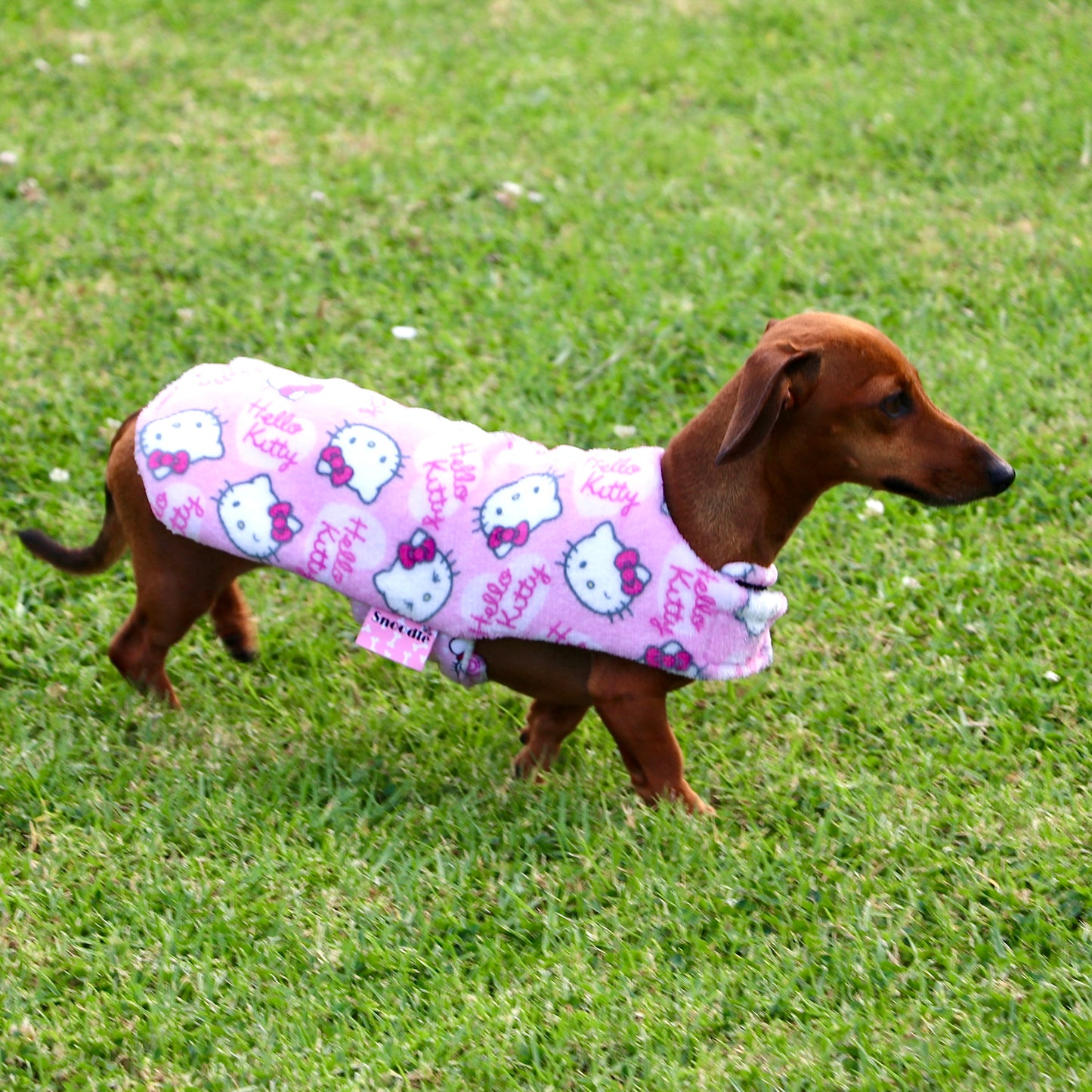 Daywear Deluxe Kitty Hello