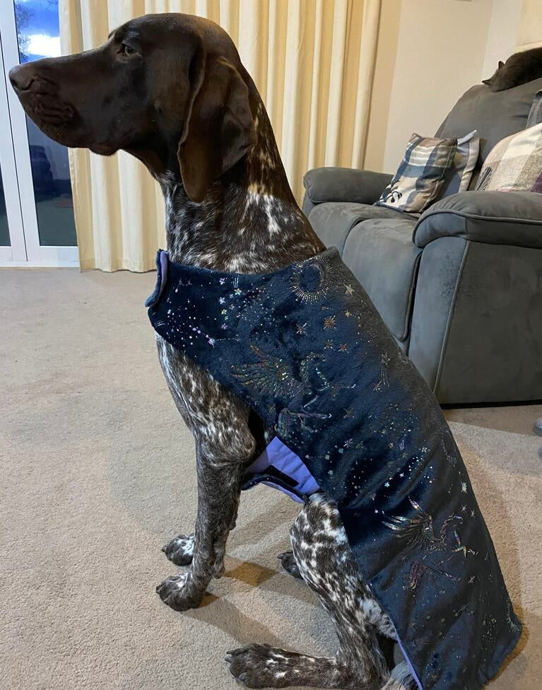 Nightwear Black Metallic Unicorn Dog Coat