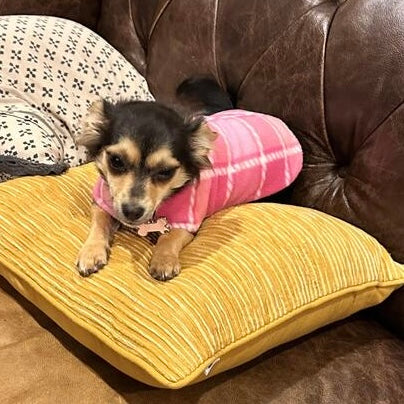 Daywear Pink Tartan Dog Coat