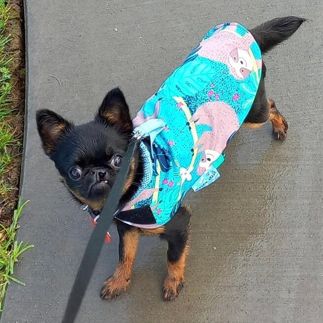 Rainwear Teal Sloth Ripstop Rain Coat