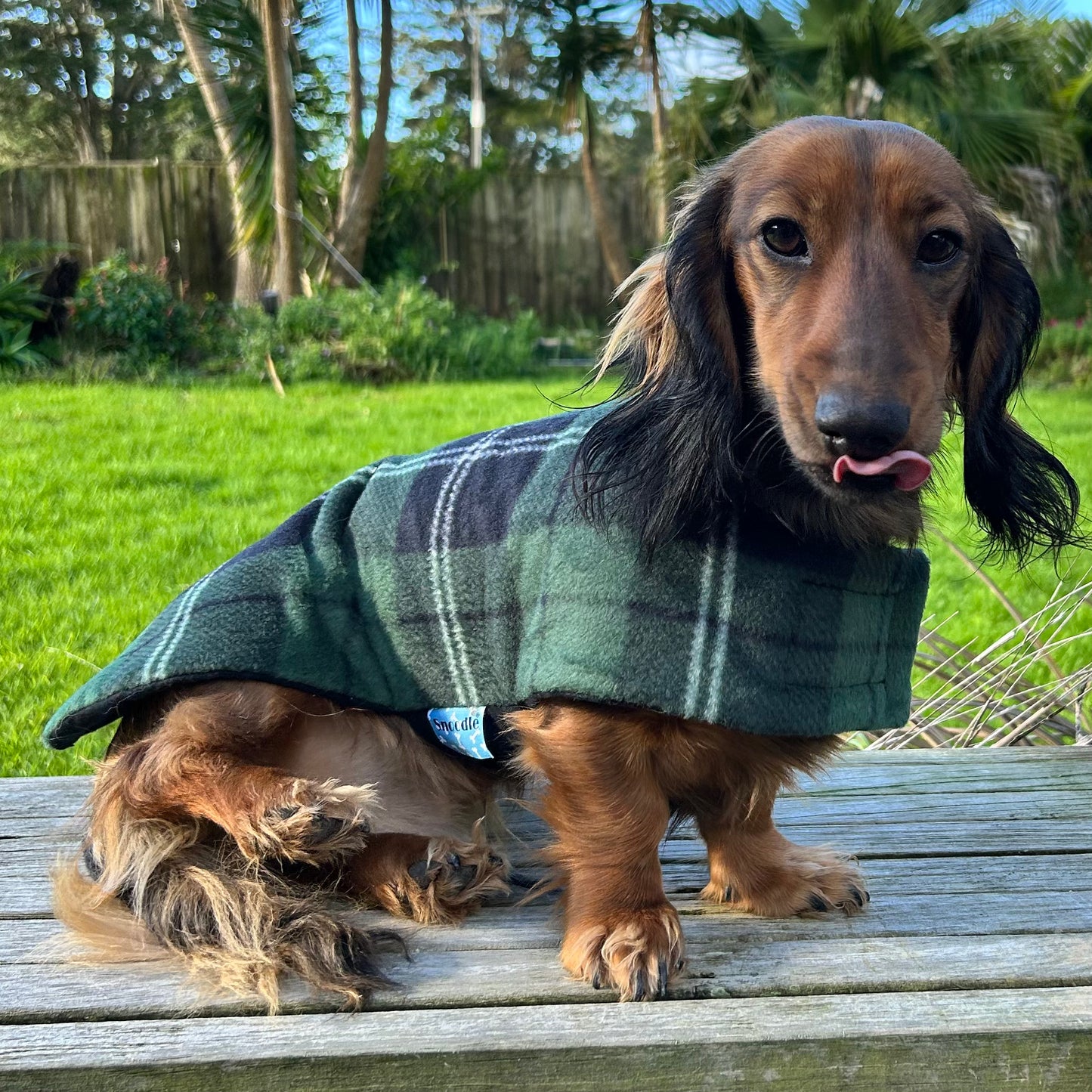 Daywear Green Tartan