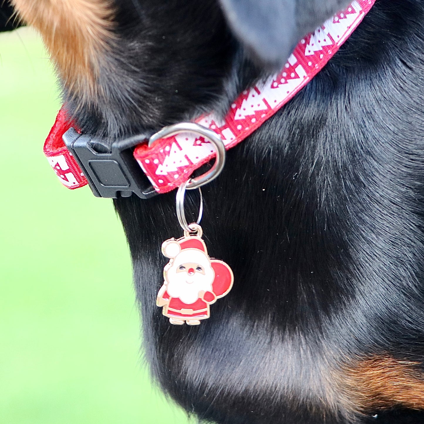 Christmas Collar Red with FREE Santa Charm