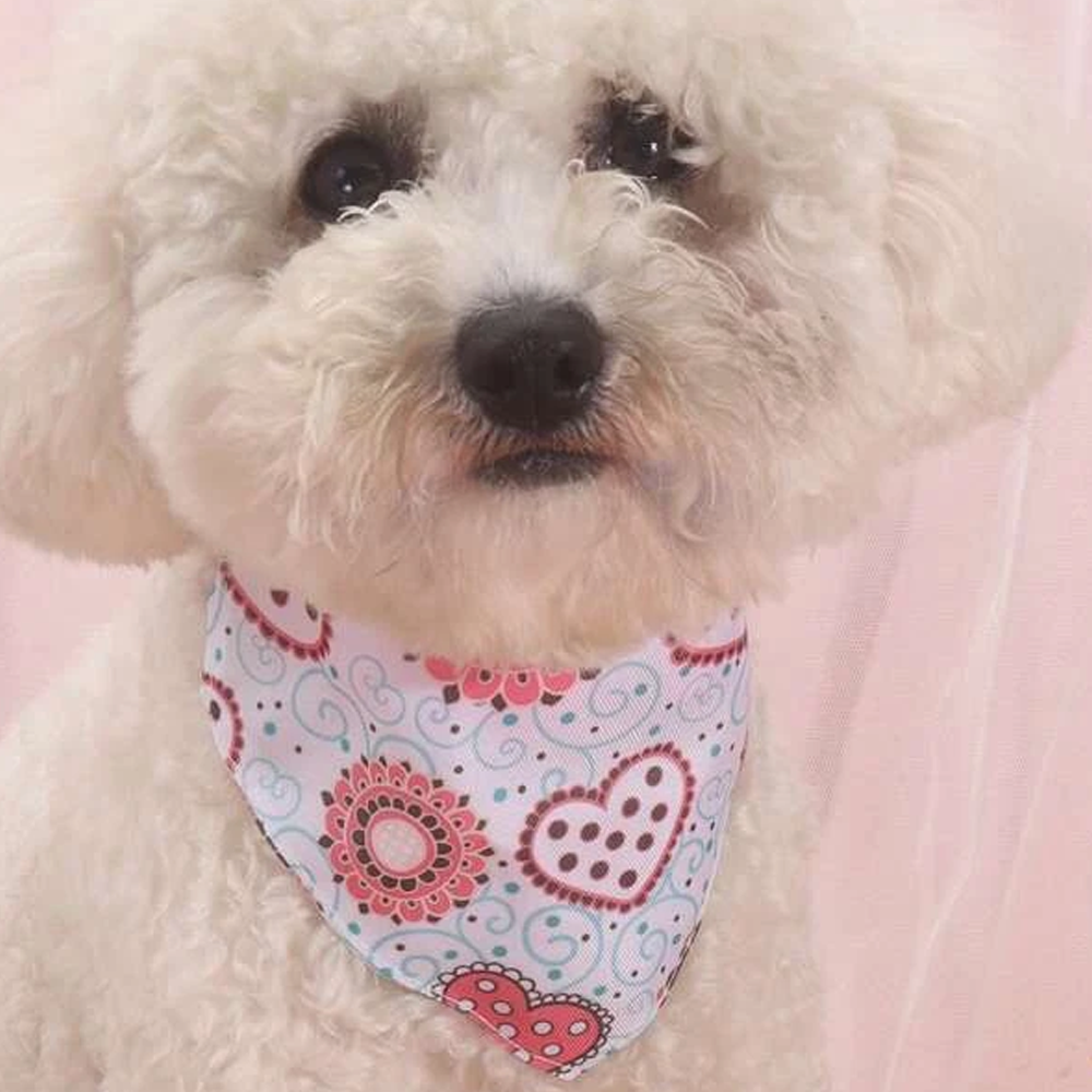 Heart Dog Bandana and Collar