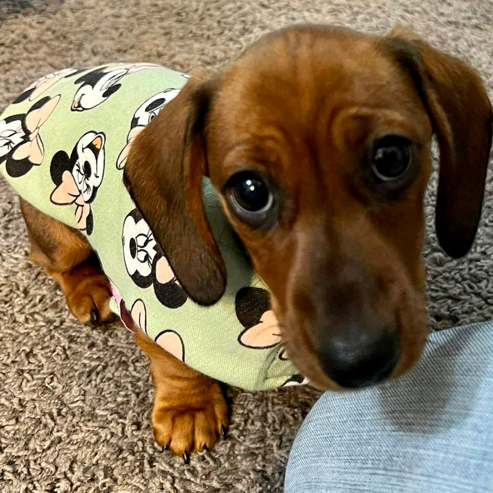 ActiveWear Minnie Green and Peach Dog Coats