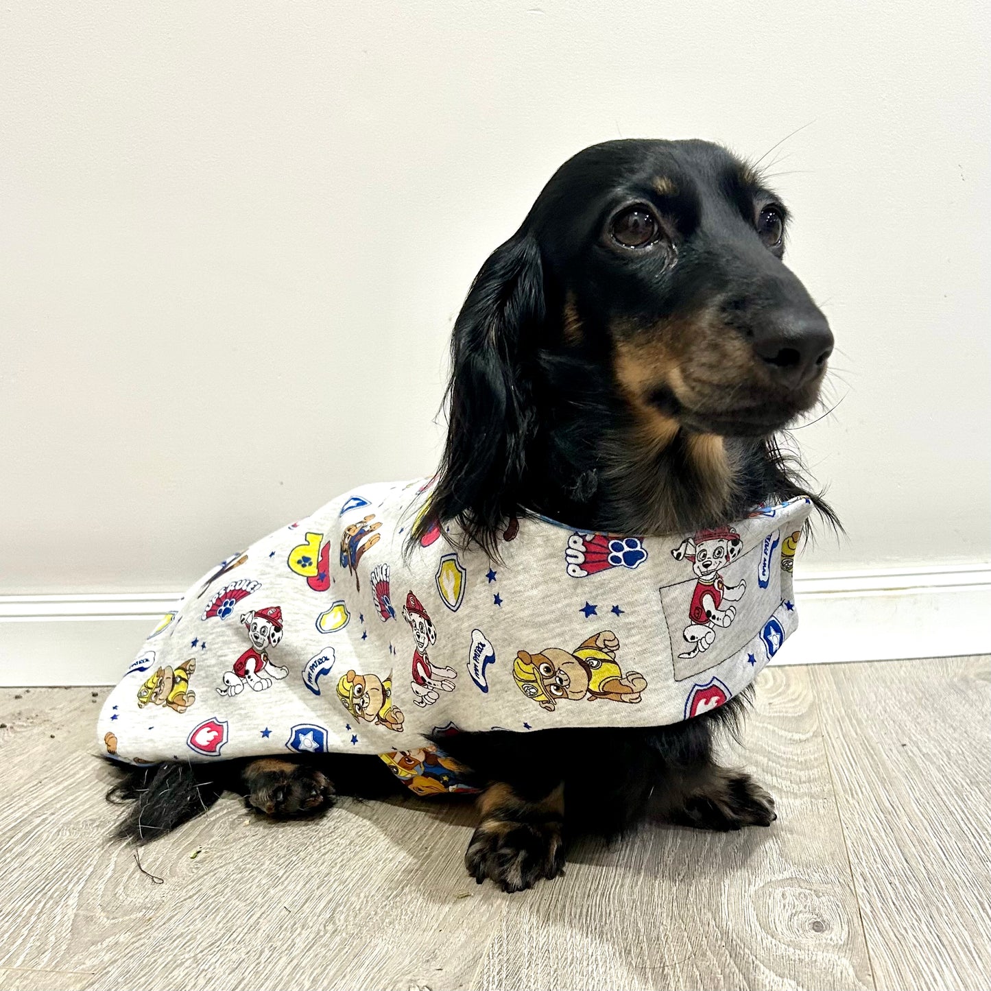 ActiveWear Doggie Patrol Dog Coat