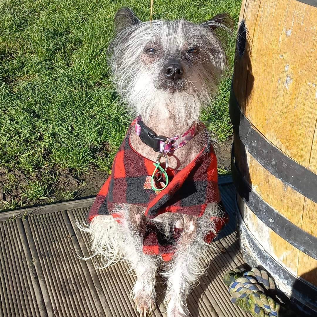 Daywear Red & Black Check