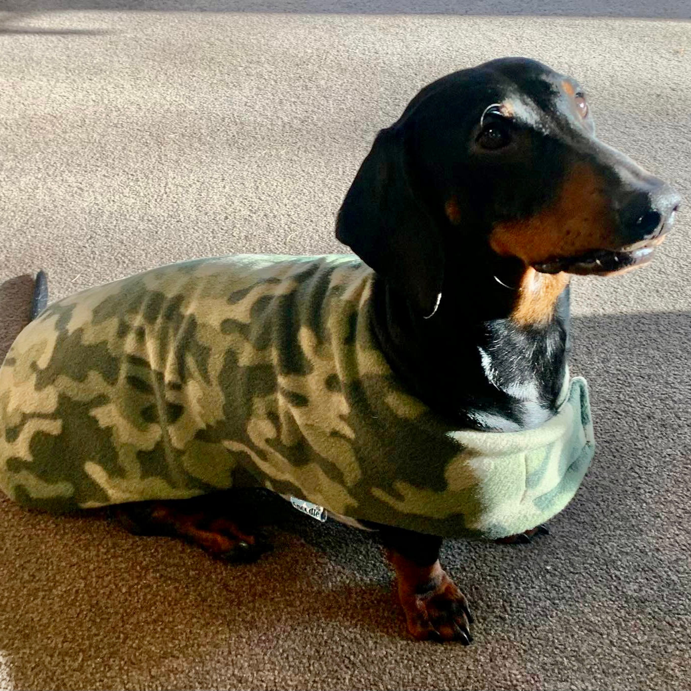 Daywear Camo Green Dog Coat