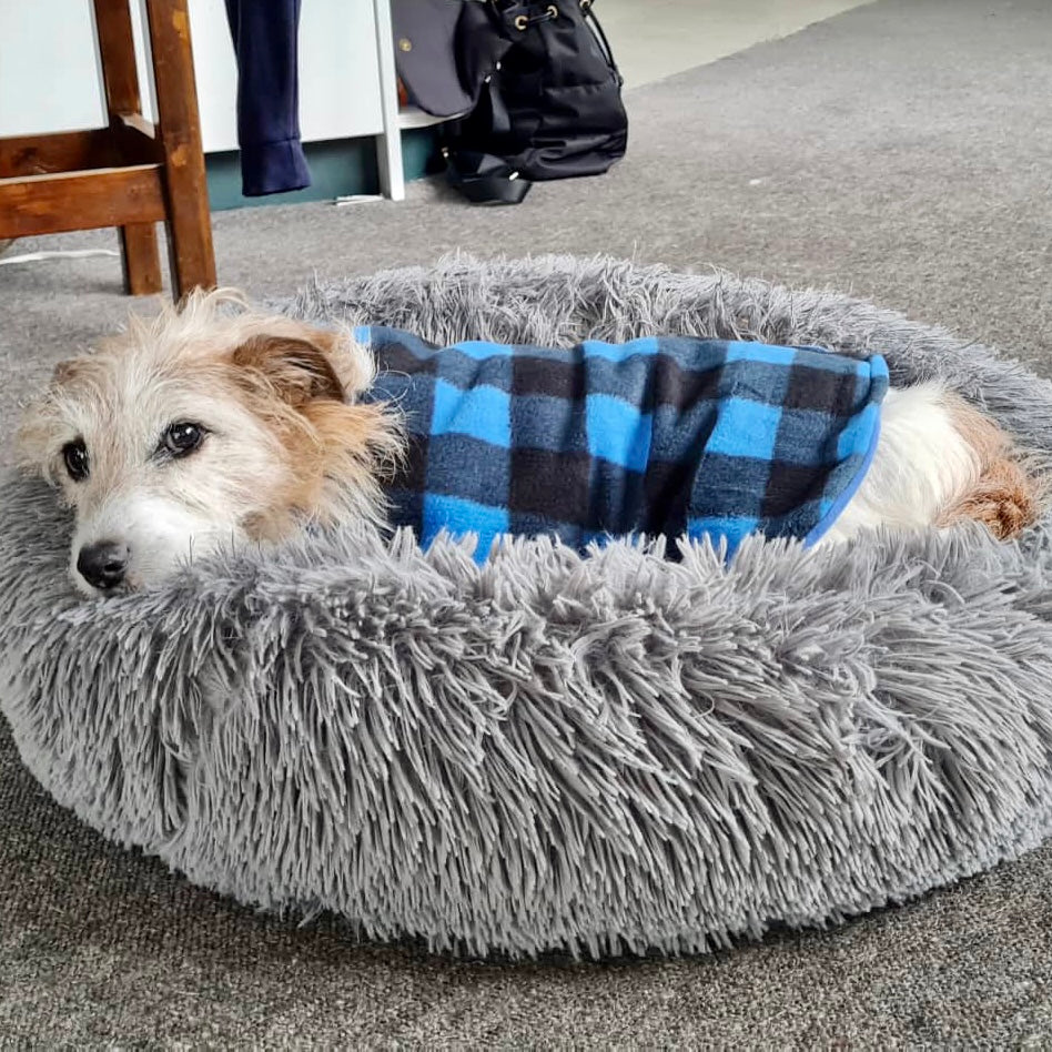 Blue and Black Check