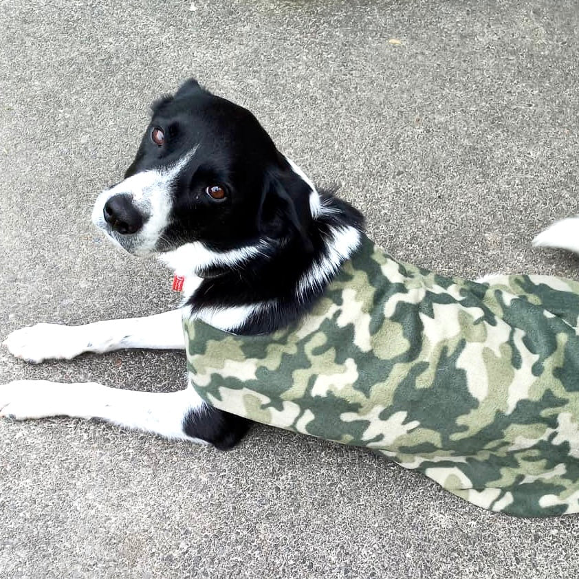 Camouflage dog coat best sale