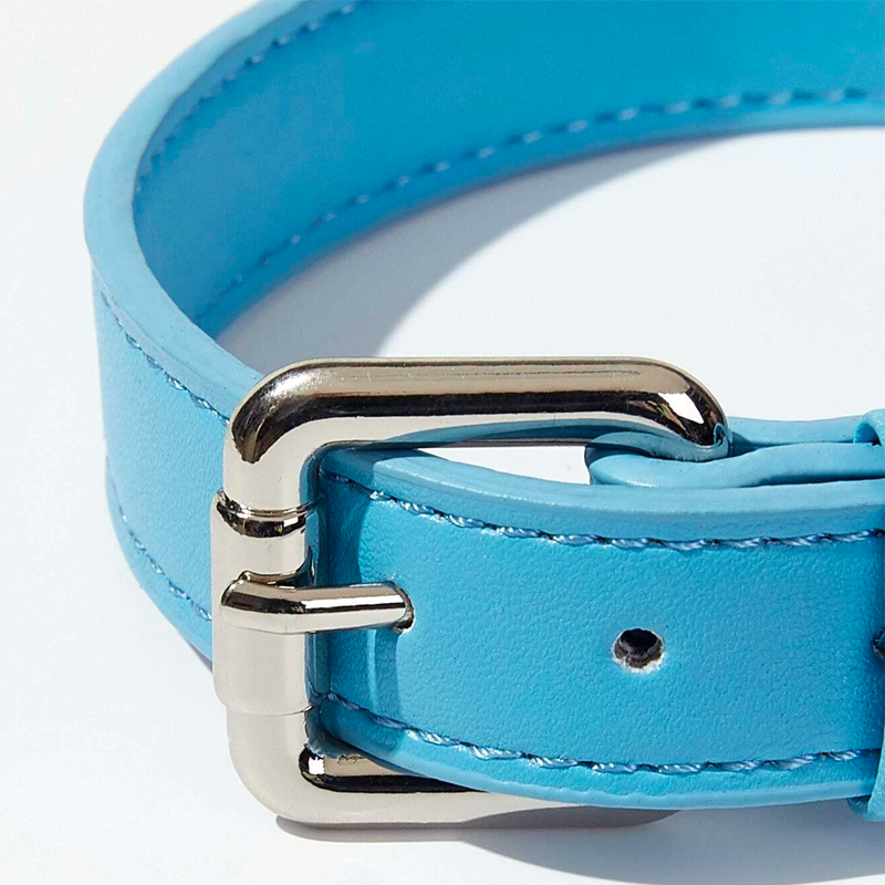 Baby blue dog shop collar