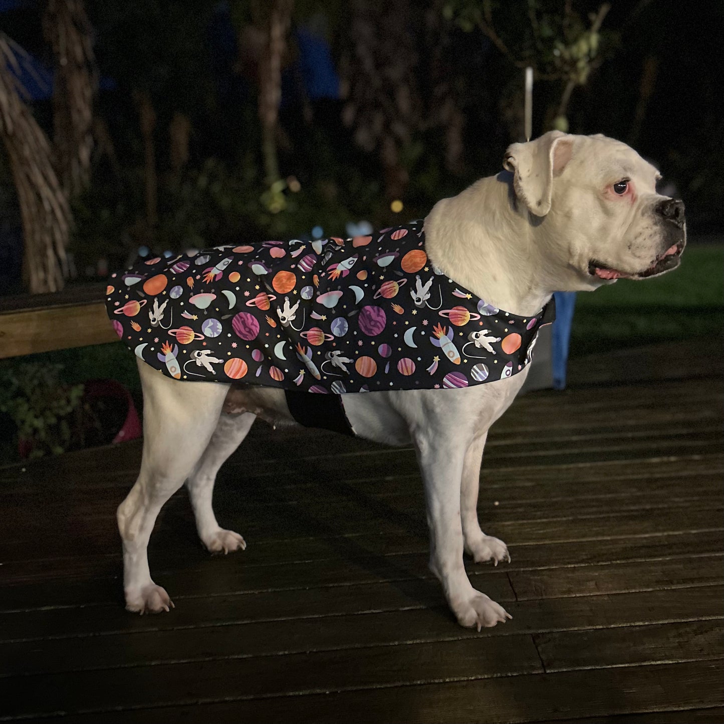 Rainwear Black Space Dog Rain Coat