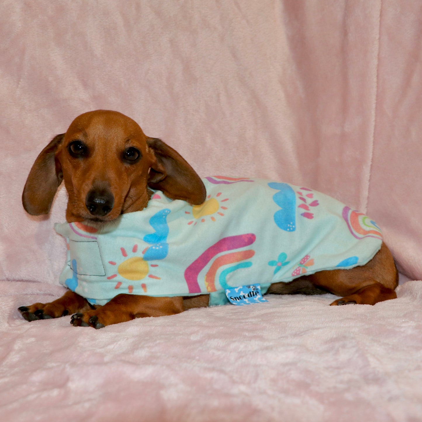 Nightwear Teal Rainbow Dog Coat