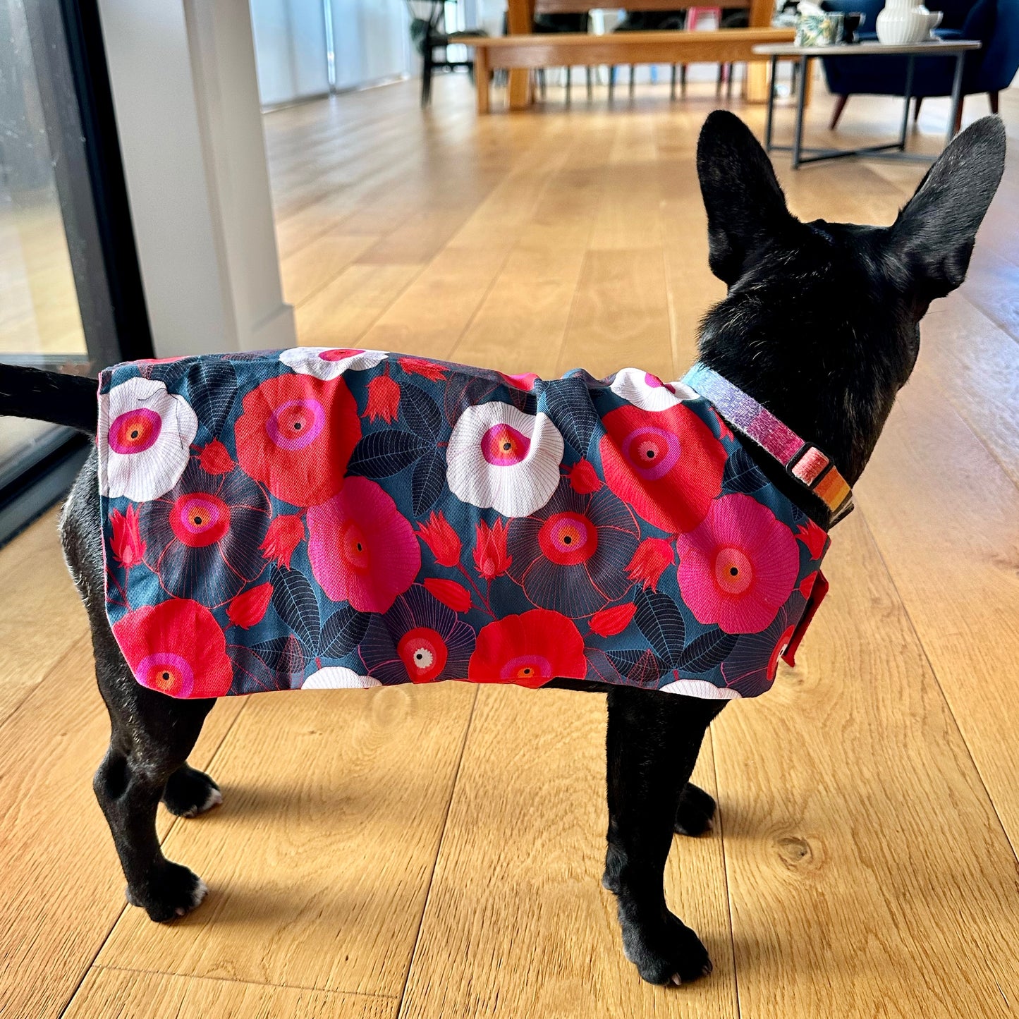 Rainwear Red Flower Dog Rain Coat