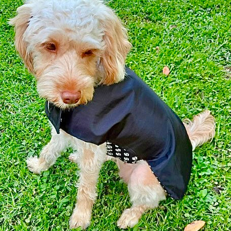 Rainwear Paw Print Dog Rain Coat