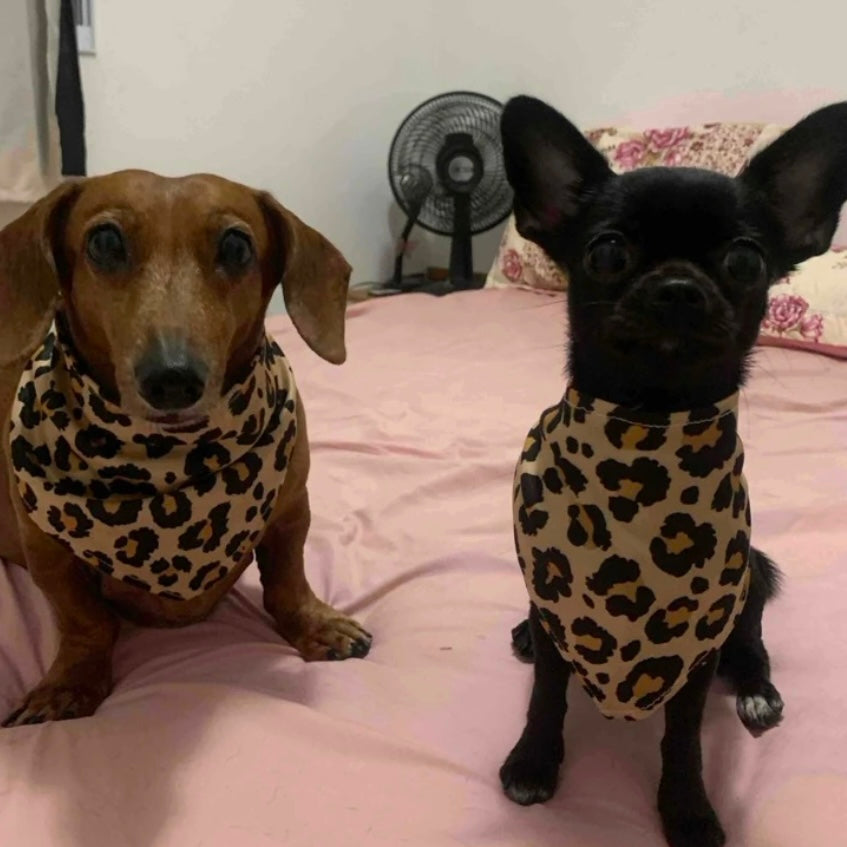 Leopard Dog Bandana