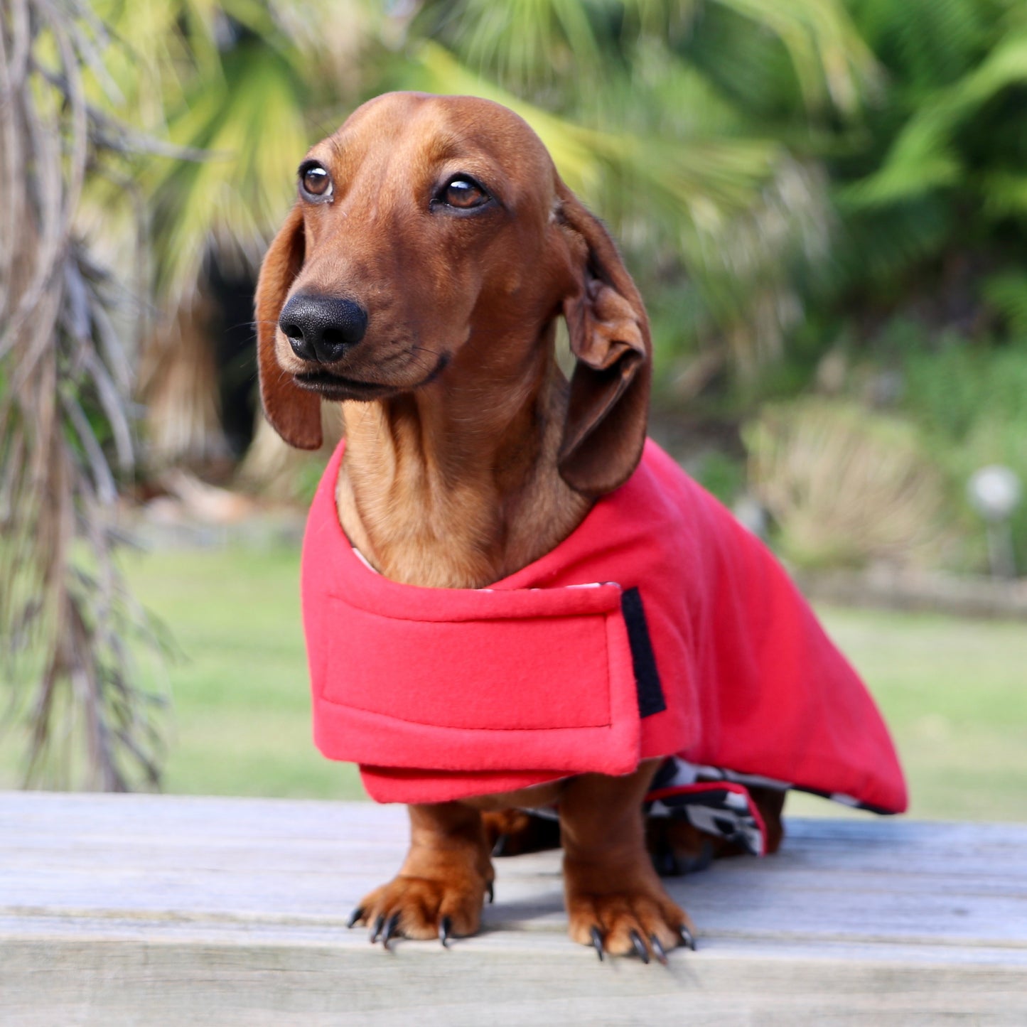 ActiveWear Micky Dog Coat