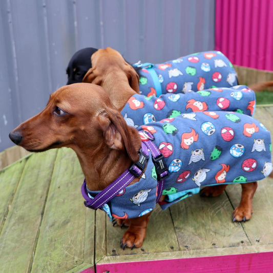 Be a Posh Pooch: Get Your Dog the Perfect Coat!