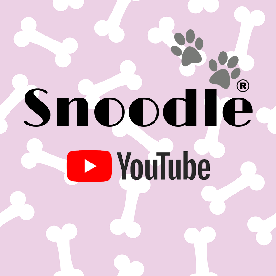 Snoodle Shopping at Spotlight