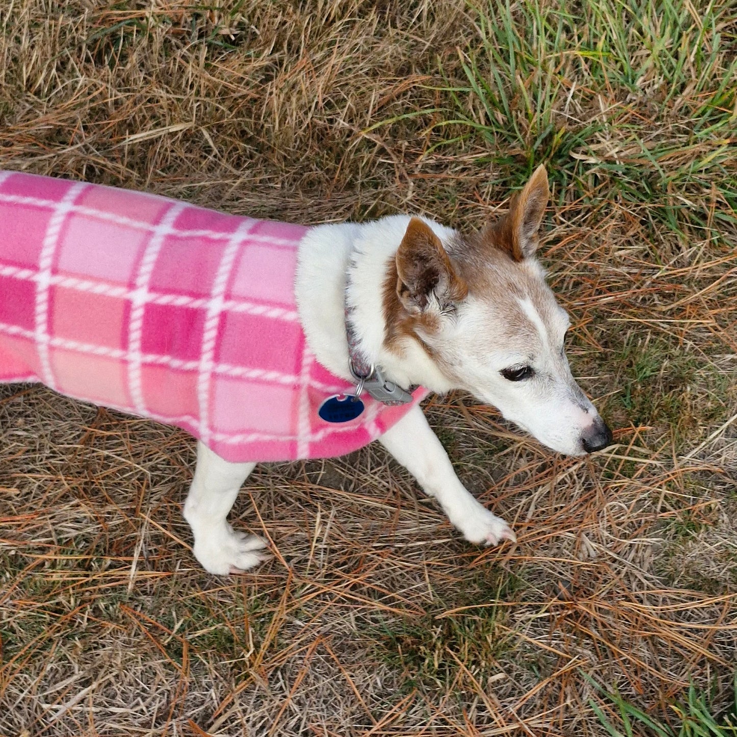 Daywear Pink Tartan Dog Coat