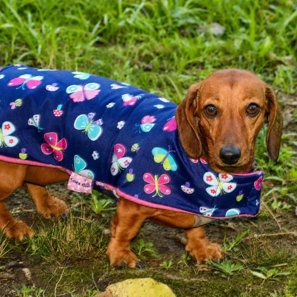 Deluxe Rainwear Pink Butterfly Dog Rain Coat