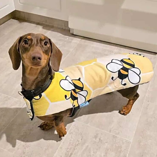 Beachwear Buzzy Bee Towel Dog Coat