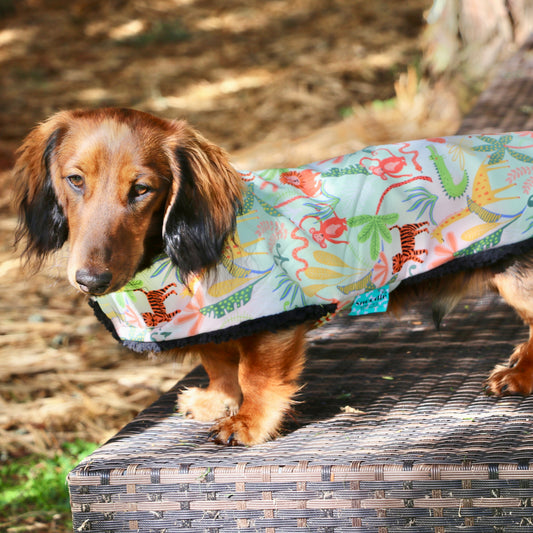 Deluxe Rainwear Jungle Animal Dog Rain Coat