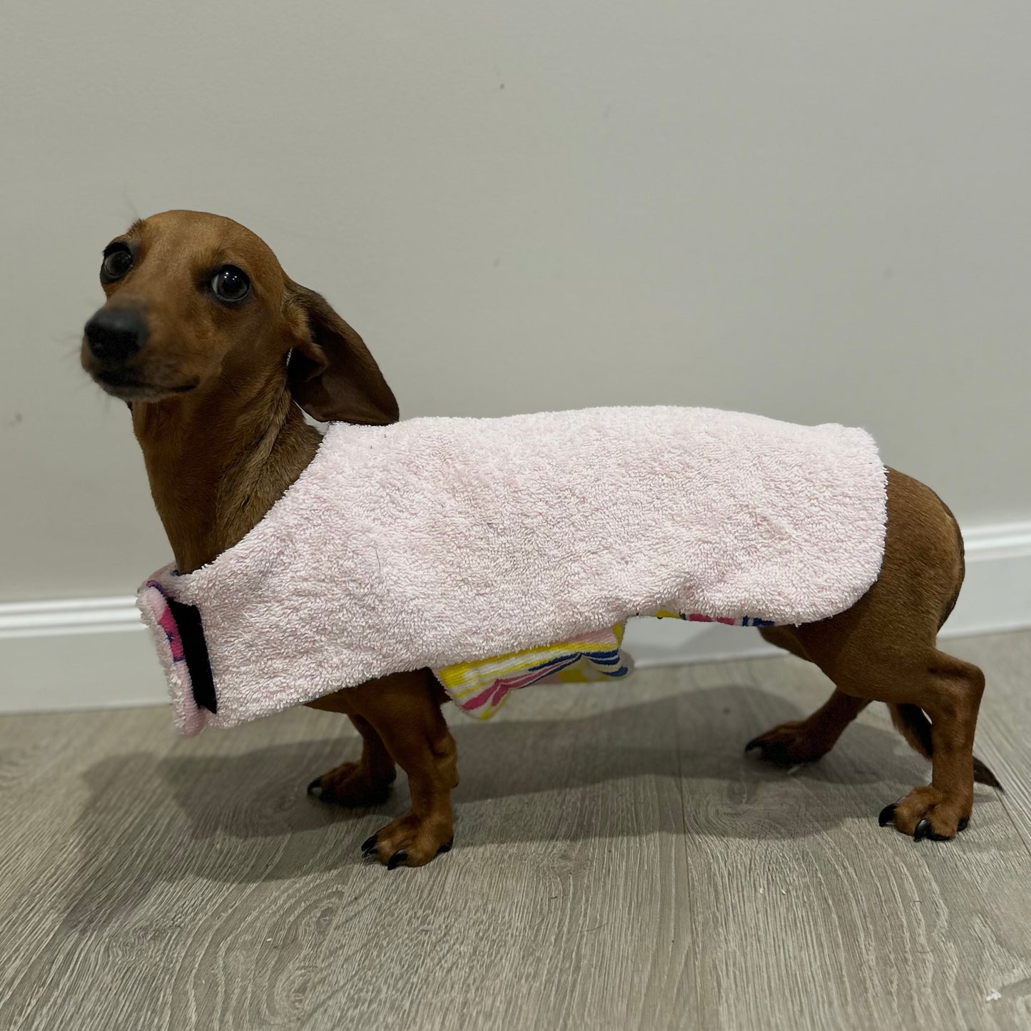 Towelwear Pink Butterfly Dog Coat