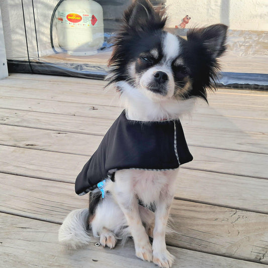 Deluxe Rainwear Black Dog Rain Coat