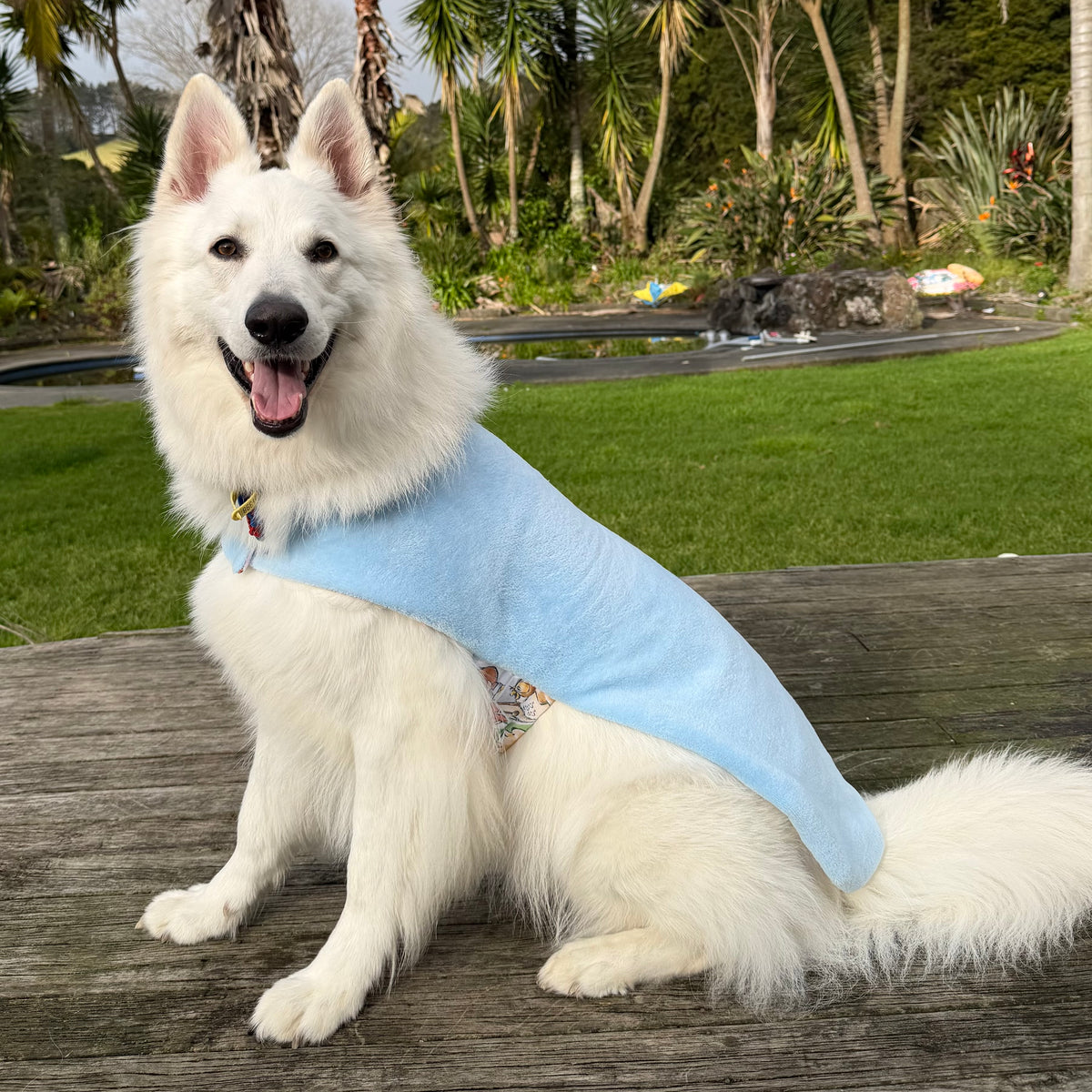 Nightwear Poo and Friends Dog Coat
