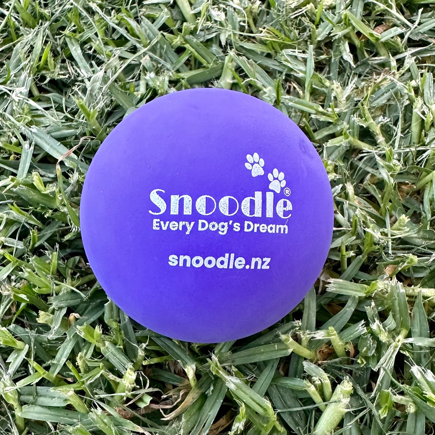 Snoodle Ball Purple