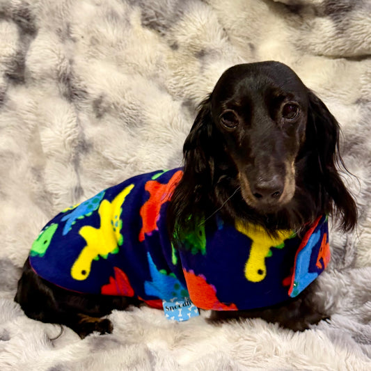 Daywear Colourful Dinosaurs