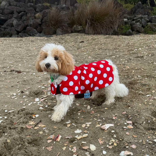 Rainwear Red Polka Dot Dog Rain Coat