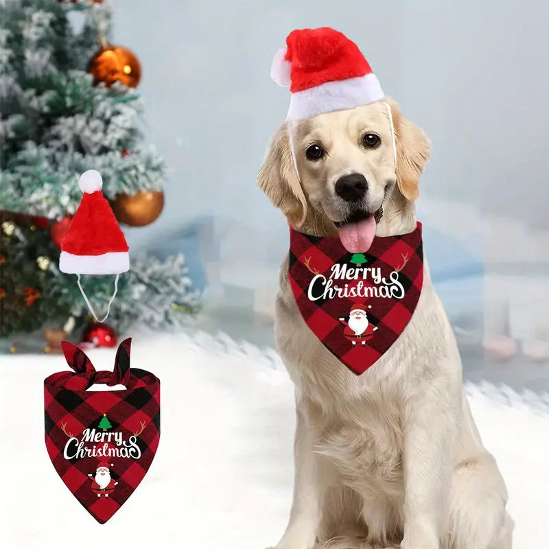 Santa Hat and Bandana