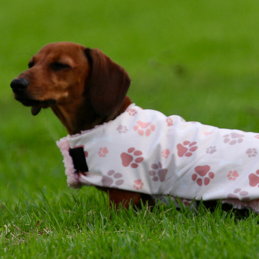 Deluxe Rainwear Paw Dog Rain Coat