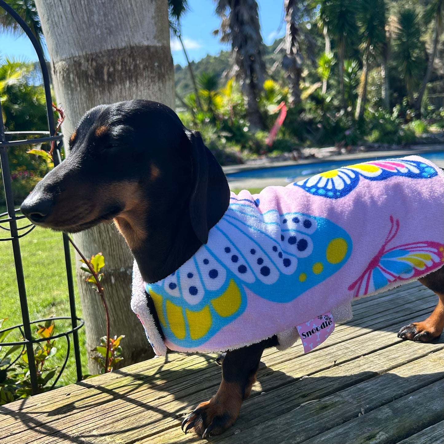 Towelwear Pink Butterfly Dog Coat