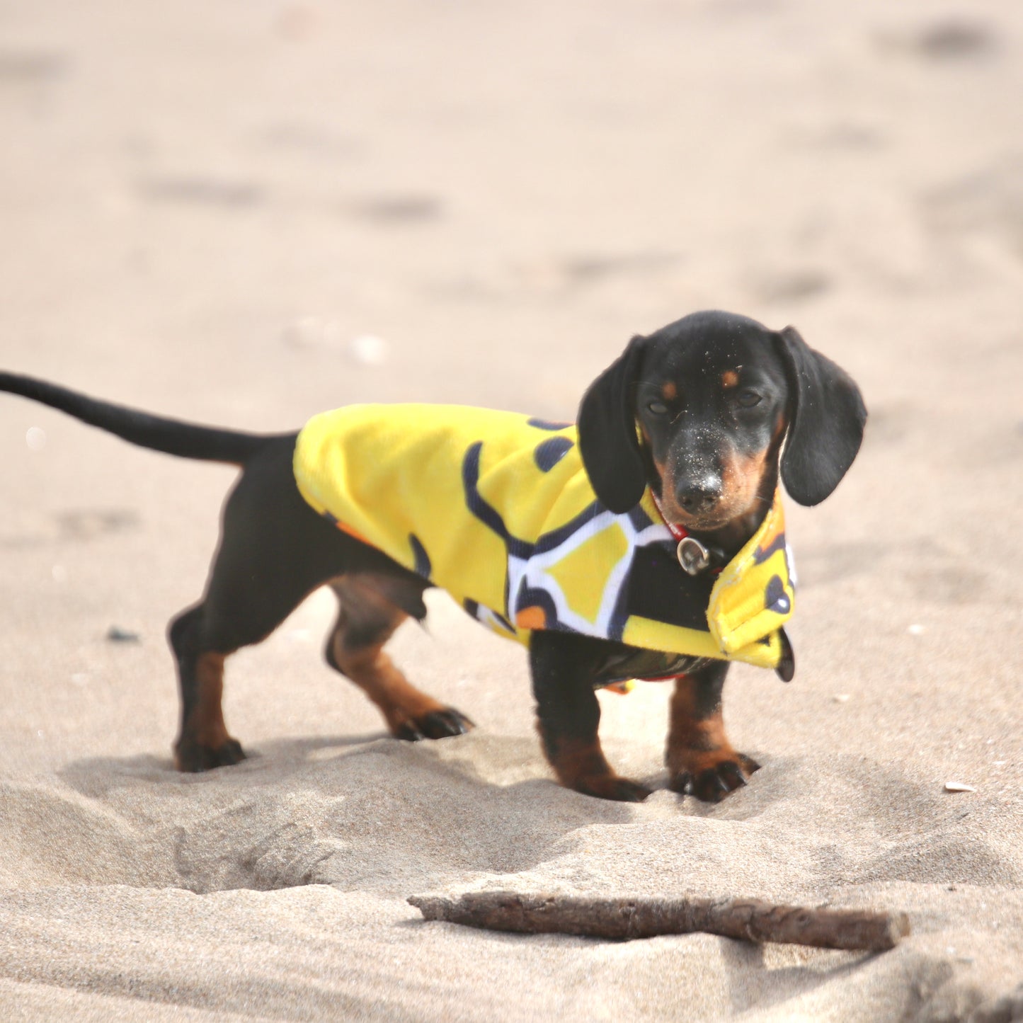 Beachwear Ducky Towel Dog Coat