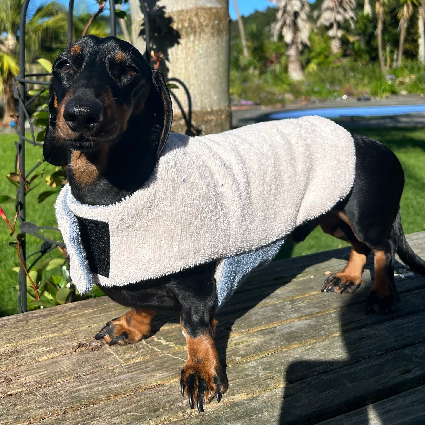 Towelwear Grey Beige Dog Coat