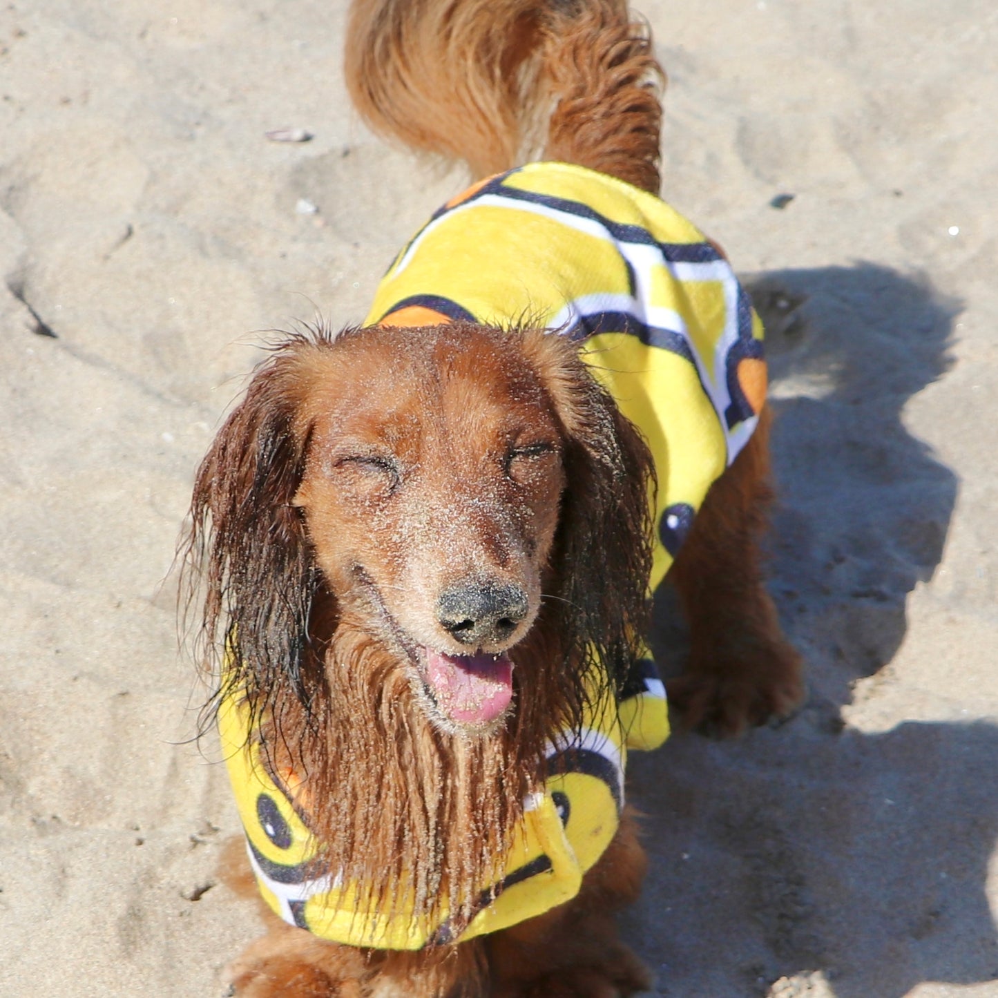 Beachwear Ducky Towel Dog Coat