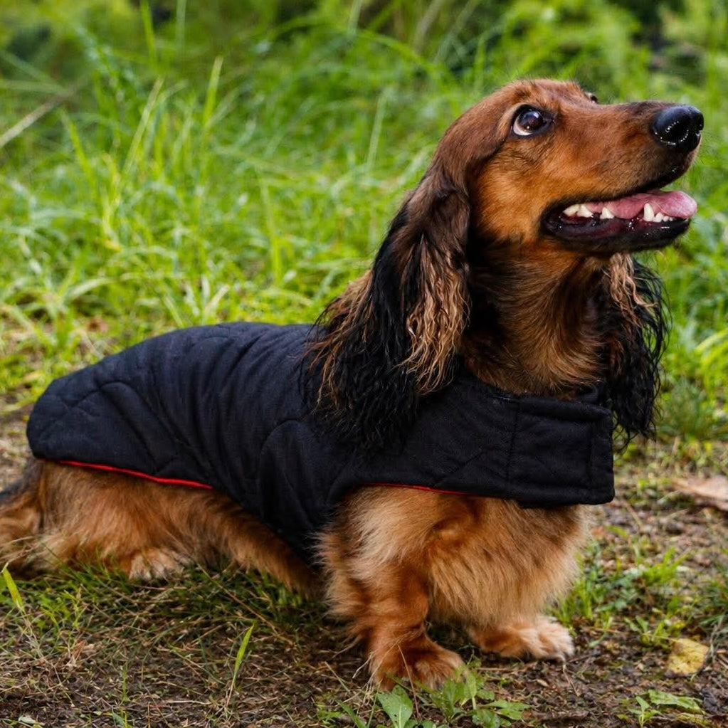 Rainwear Red Check Puffer Coat