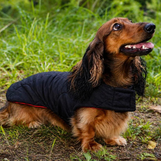 Rainwear Red Check Puffer Coat