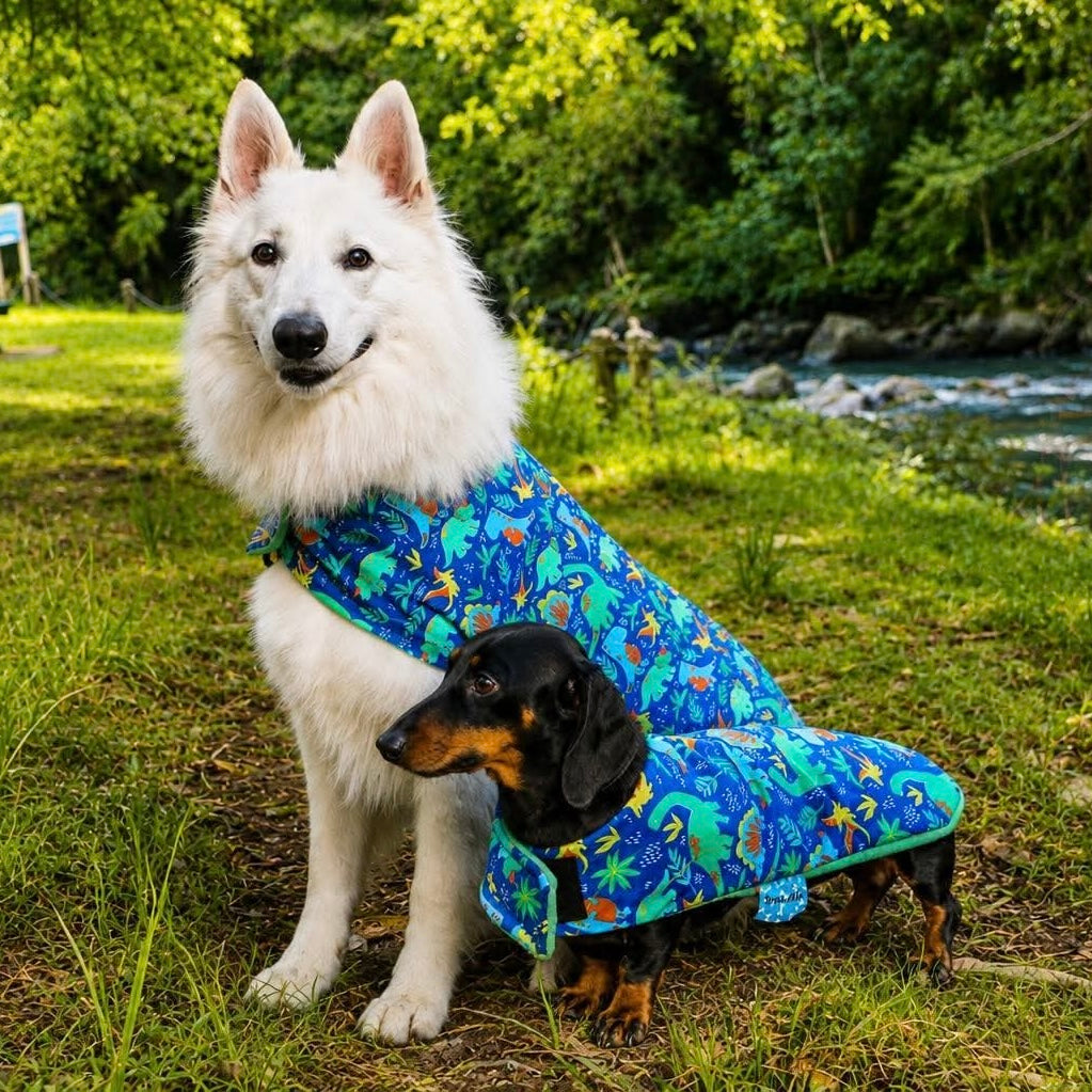 Deluxe Rainwear Green Dinosaur Dog Rain Coat