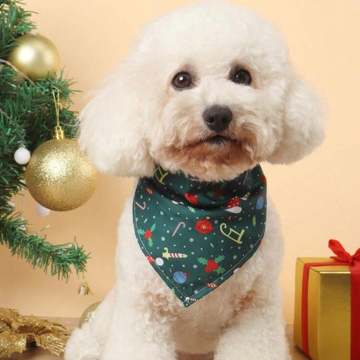 Christmas Green Pattern Small Dog Bandana