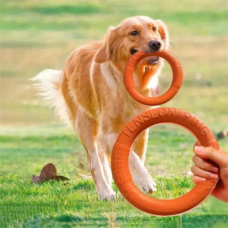 Fetch Ring Orange
